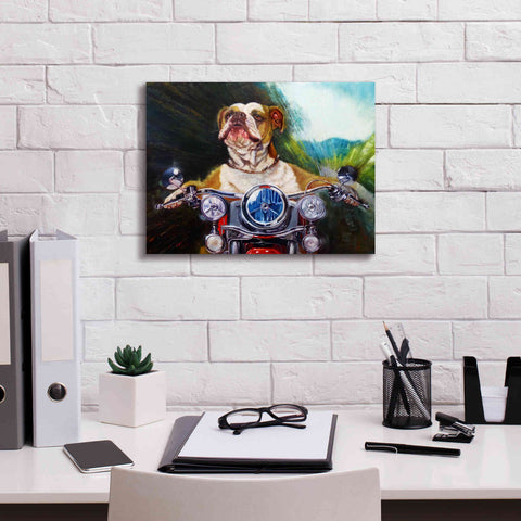 Image of 'Born To Be Wild' by Lucia Heffernan, Canvas Wall Art,16x12