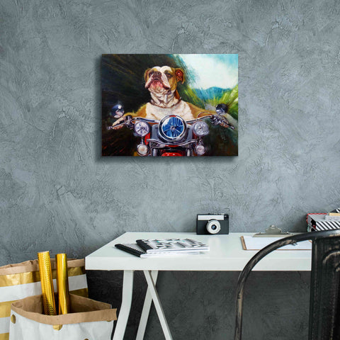 Image of 'Born To Be Wild' by Lucia Heffernan, Canvas Wall Art,16x12