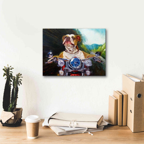 Image of 'Born To Be Wild' by Lucia Heffernan, Canvas Wall Art,16x12