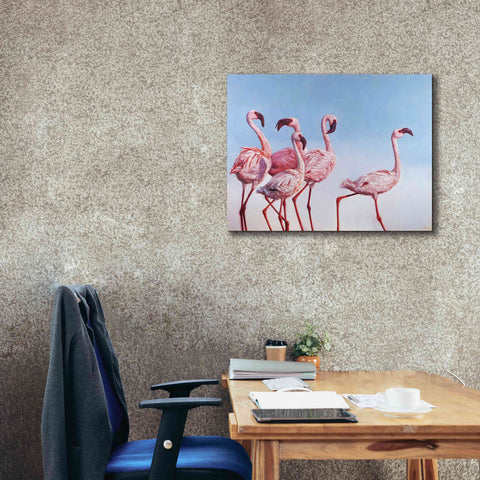 Image of 'Pink Ladies' by Lucia Heffernan, Canvas Wall Art,34x26