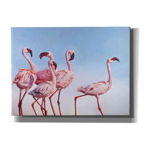 Image of 'Pink Ladies' by Lucia Heffernan, Canvas Wall Art