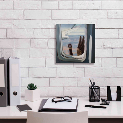 Image of 'Friendly Skies' by Lucia Heffernan, Canvas Wall Art,12x12