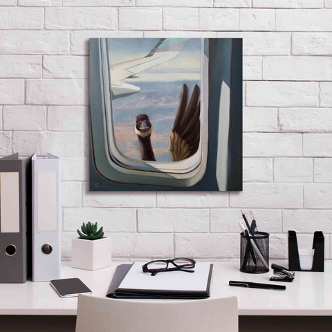 Image of 'Friendly Skies' by Lucia Heffernan, Canvas Wall Art,18x18