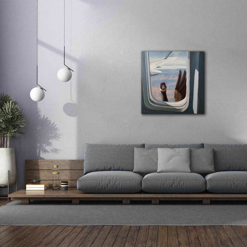 Image of 'Friendly Skies' by Lucia Heffernan, Canvas Wall Art,37x37