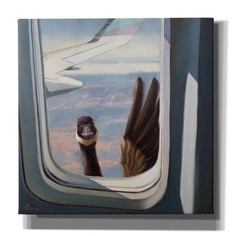 Image of 'Friendly Skies' by Lucia Heffernan, Canvas Wall Art