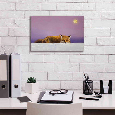 Image of 'Dreamweaver' by Lucia Heffernan, Canvas Wall Art,18x12