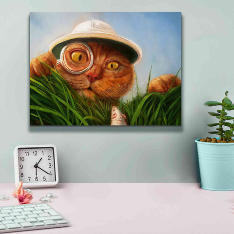 Image of 'Explorer' by Lucia Heffernan, Canvas Wall Art,16x12