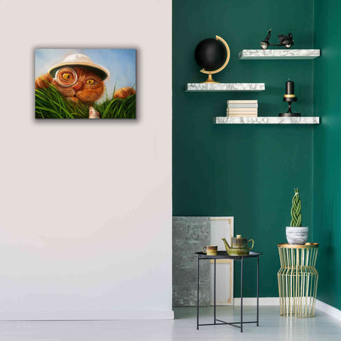 Image of 'Explorer' by Lucia Heffernan, Canvas Wall Art,26x18