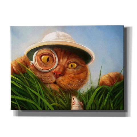 Image of 'Explorer' by Lucia Heffernan, Canvas Wall Art