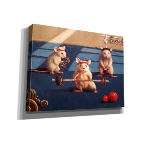 Image of 'Gym Rats' by Lucia Heffernan, Canvas Wall Art