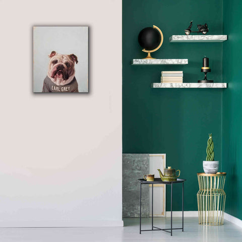 Image of 'Earl Gray' by Lucia Heffernan, Canvas Wall Art,20x24