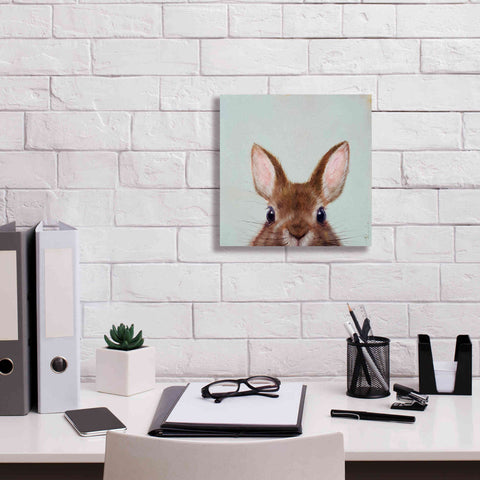 Image of 'Peek a Boo' by Lucia Heffernan, Canvas Wall Art,12x12