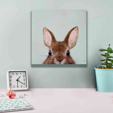 Image of 'Peek a Boo' by Lucia Heffernan, Canvas Wall Art,12x12