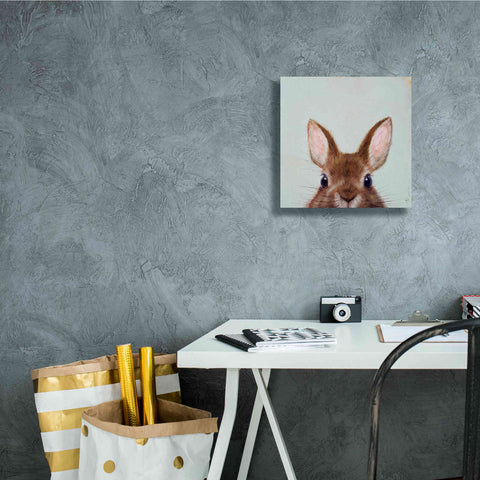 Image of 'Peek a Boo' by Lucia Heffernan, Canvas Wall Art,12x12