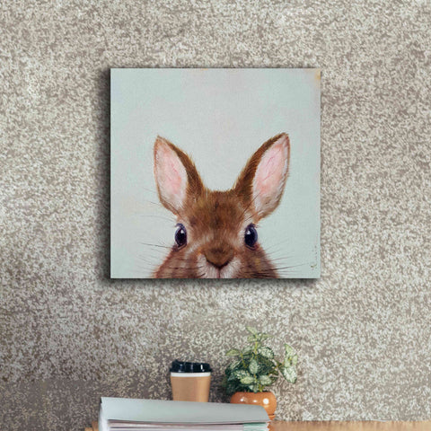 Image of 'Peek a Boo' by Lucia Heffernan, Canvas Wall Art,18x18