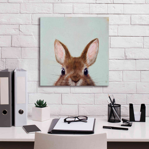 Image of 'Peek a Boo' by Lucia Heffernan, Canvas Wall Art,18x18