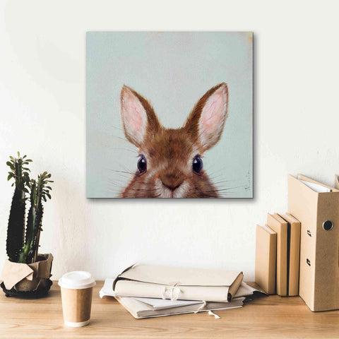 Image of 'Peek a Boo' by Lucia Heffernan, Canvas Wall Art,18x18