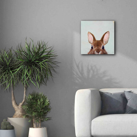 Image of 'Peek a Boo' by Lucia Heffernan, Canvas Wall Art,18x18