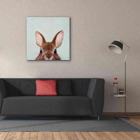 Image of 'Peek a Boo' by Lucia Heffernan, Canvas Wall Art,37x37