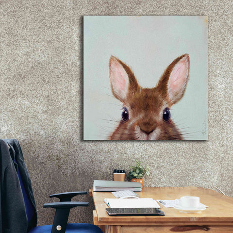 Image of 'Peek a Boo' by Lucia Heffernan, Canvas Wall Art,37x37