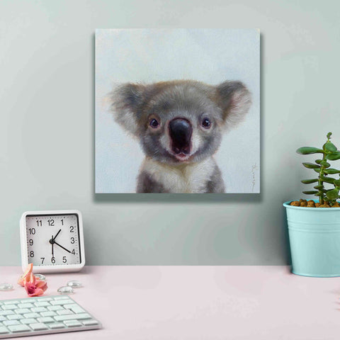 Image of 'Lil Koala' by Lucia Heffernan, Canvas Wall Art,12x12