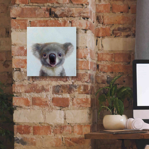 Image of 'Lil Koala' by Lucia Heffernan, Canvas Wall Art,12x12