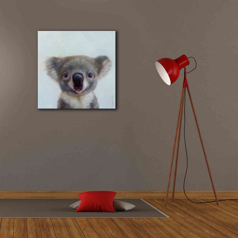 Image of 'Lil Koala' by Lucia Heffernan, Canvas Wall Art,26x26