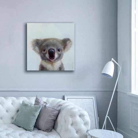 Image of 'Lil Koala' by Lucia Heffernan, Canvas Wall Art,37x37