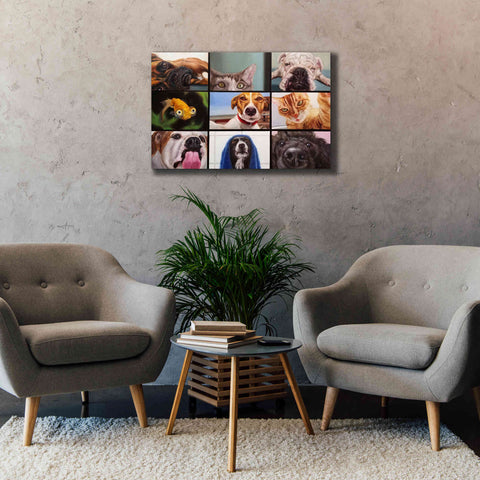 Image of 'Animal Zoom' by Lucia Heffernan, Canvas Wall Art,40x26