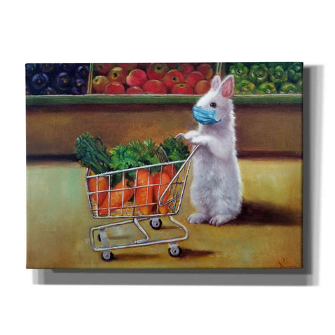 Image of 'Quarantine Shopping' by Lucia Heffernan, Canvas Wall Art