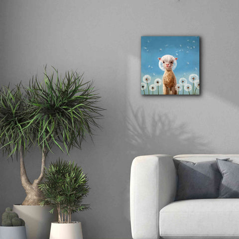 Image of 'Summer Wishes' by Lucia Heffernan, Canvas Wall Art,18x18