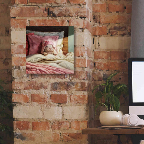 Image of 'Bed Hare' by Lucia Heffernan, Canvas Wall Art,12x12