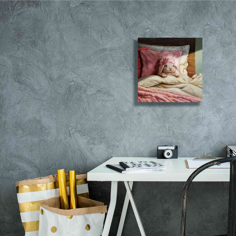 Image of 'Bed Hare' by Lucia Heffernan, Canvas Wall Art,12x12