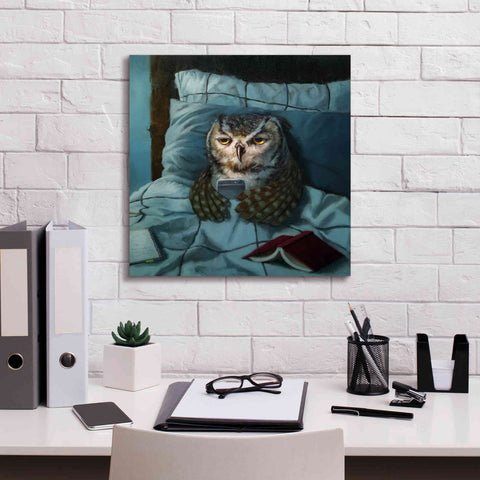 Image of 'Night Owl' by Lucia Heffernan, Canvas Wall Art,18x18