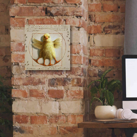 Image of 'Vitruvian Chick' by Lucia Heffernan, Canvas Wall Art,12x12