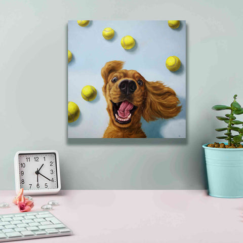 Image of 'Ball Boy' by Lucia Heffernan, Canvas Wall Art,12x12