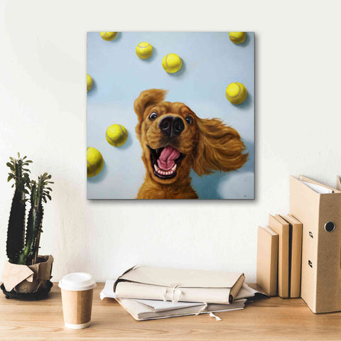 Image of 'Ball Boy' by Lucia Heffernan, Canvas Wall Art,18x18