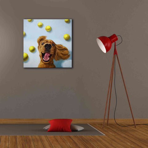 Image of 'Ball Boy' by Lucia Heffernan, Canvas Wall Art,26x26