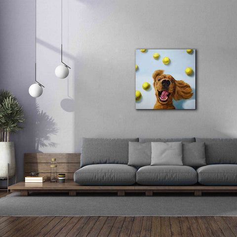 Image of 'Ball Boy' by Lucia Heffernan, Canvas Wall Art,37x37