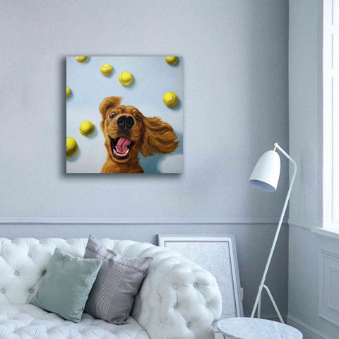 Image of 'Ball Boy' by Lucia Heffernan, Canvas Wall Art,37x37