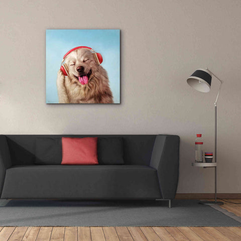 Image of 'Woof Jam' by Lucia Heffernan, Canvas Wall Art,37x37