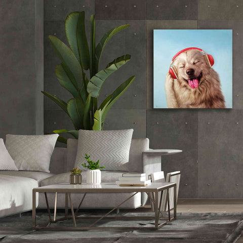 Image of 'Woof Jam' by Lucia Heffernan, Canvas Wall Art,37x37