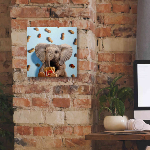 Image of 'Feeling Nutty' by Lucia Heffernan, Canvas Wall Art,12x12