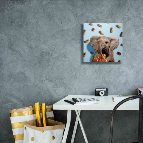 Image of 'Feeling Nutty' by Lucia Heffernan, Canvas Wall Art,12x12