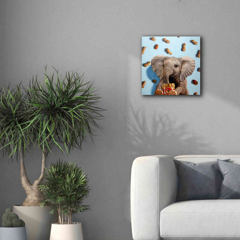 Image of 'Feeling Nutty' by Lucia Heffernan, Canvas Wall Art,18x18