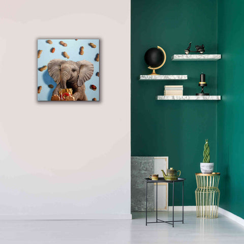 Image of 'Feeling Nutty' by Lucia Heffernan, Canvas Wall Art,26x26