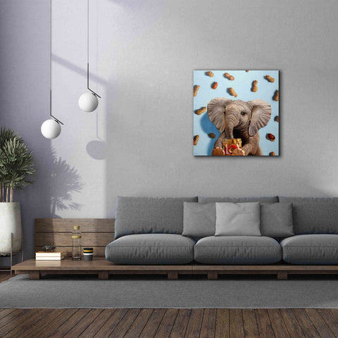 Image of 'Feeling Nutty' by Lucia Heffernan, Canvas Wall Art,37x37