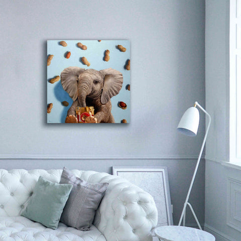 Image of 'Feeling Nutty' by Lucia Heffernan, Canvas Wall Art,37x37