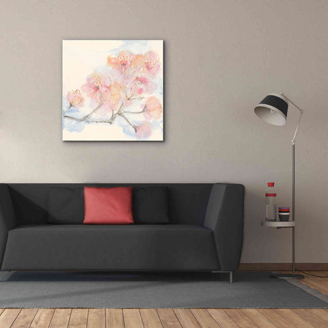 Image of 'Pink Blossoms III' by Chris Paschke, Canvas Wall Art,37 x 37