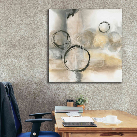 Image of 'Full Circle I' by Chris Paschke, Canvas Wall Art,37 x 37